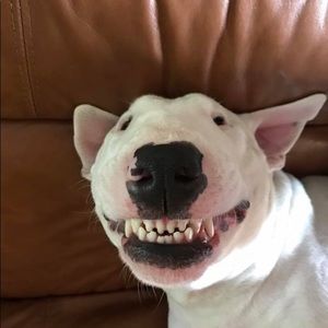 Meet your Posher, Aurora